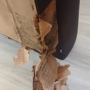 Doğtaş Koltuk Ve Yemek Masası