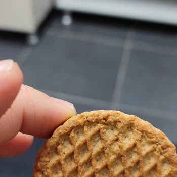 Eti Burçaktan Yabancı Madde Çıkması
