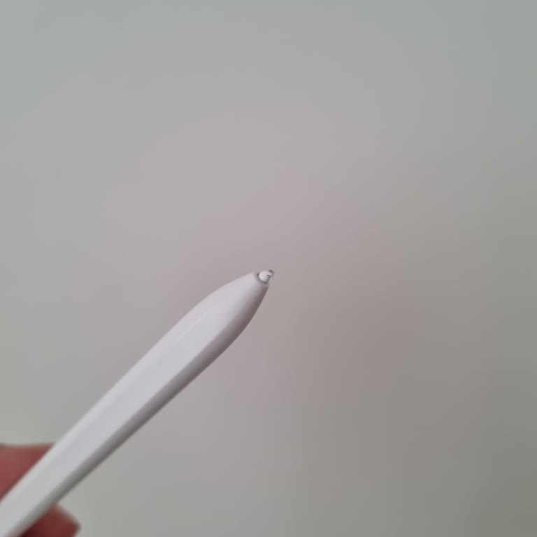 Samsung TAB S9 Fe S Pen