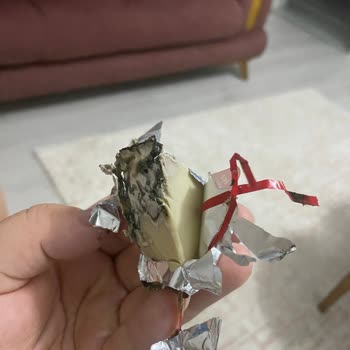 Pınar Et Ve Süt Pınar Ürünlerinin Sorunu Bozuk Olması