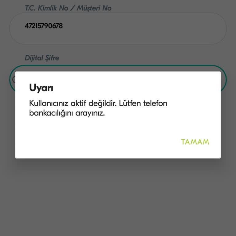 Türkiye Finans İnternet Bankacılığı Aktif Etmiyor