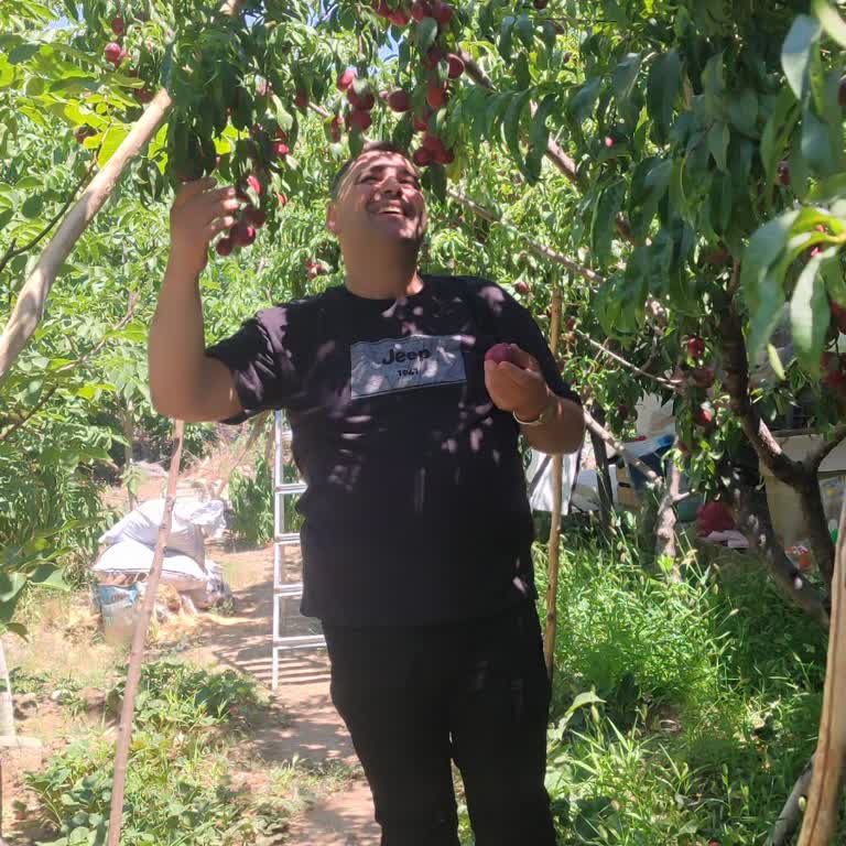 Ayıplı Mal (Jeep) Marka