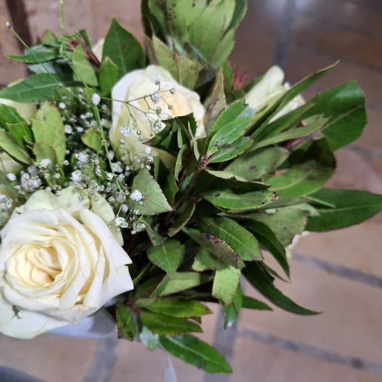 ÇiçekSepeti Mağdur Oldum Ve Çözüm Üretilmesi Muhatap Yok Karşımda