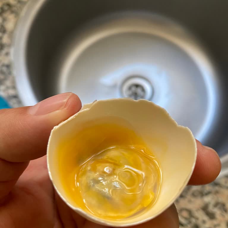Şok Marketler Şok Marketten Aldığım Yumurta Bozuk Çıktı