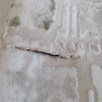 Önemli Halı Yıkama Halımı Kesti