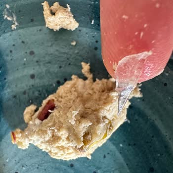 Harras Fıstıklı Helva İçinde Cam