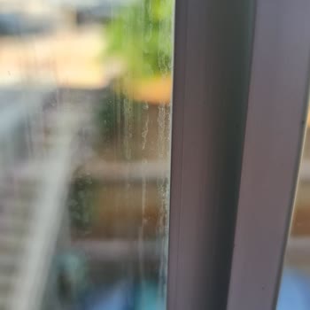 Kiwi Home Kullanışsız Ürün: Temizlik Ve Tasarım Sorunları
