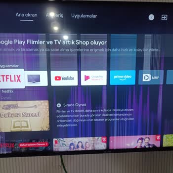 Vestel Vesel TV Panel Ve LED Arızası Sorunu