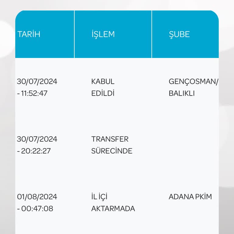 PTT Kargomu Getirmiyor