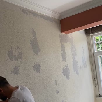 Jotun Boya İle Yaşadığım Hayal Kırıklığı