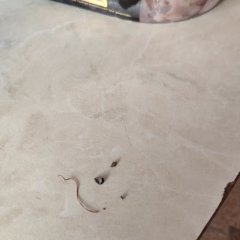 Carte d'Or Ice Cream - Stones and Grass Found in Product