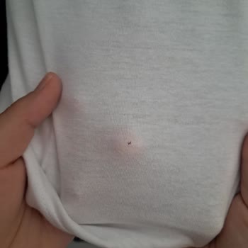 Bosch Çamaşır Makinesi Kırışıklık Ve Delme Sorunu