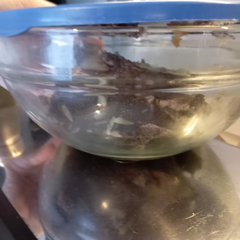Liva Pastanesi (livapastacilik.com) Liva Ekşi Pasta Sorunu X2
