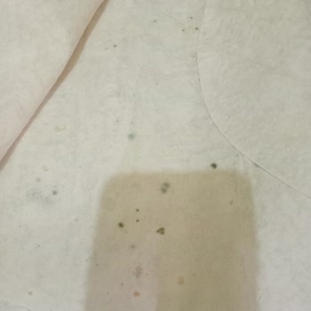 Gimsa Şikayet Ve Talep