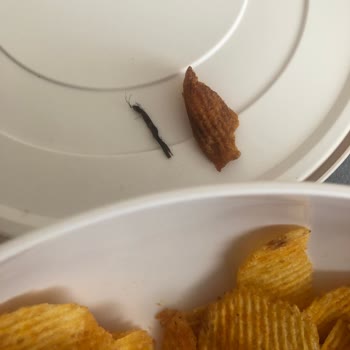 BİM Patito Cipsinden Kıllı Bir Şey Çıktı