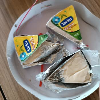 Torku Tarihi Geçmediği Halde Peynir Küflenmiş