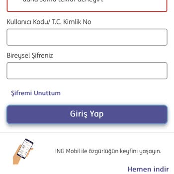 ING Bank Borsa Hesabıma Ulaşamıyorum