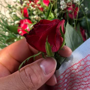 ÇiçekSepeti Beklentilerin Altında Kalan Çiçek Siparişi