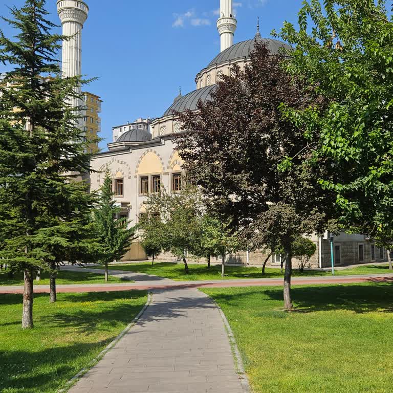 Diyanet İşleri Başkanlığı Camiler Açık Olmalı