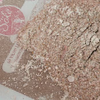 Söke Un Migros'tan Aldığım Söke Esmer Kepekli Undan Böcek Ve Kurt Çıktı