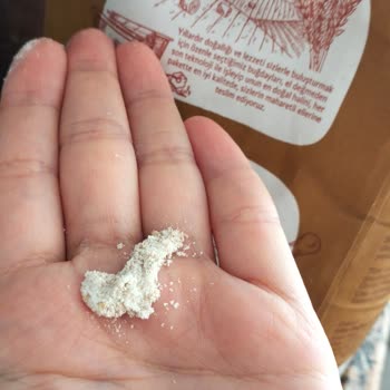 Söke Un Migros'tan Aldığım Söke Esmer Kepekli Undan Böcek Ve Kurt Çıktı