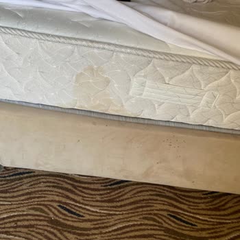 Elitium Thermal Hotel Hizmet Kalitesi Ve Hijyen Sorunları Yaşadım