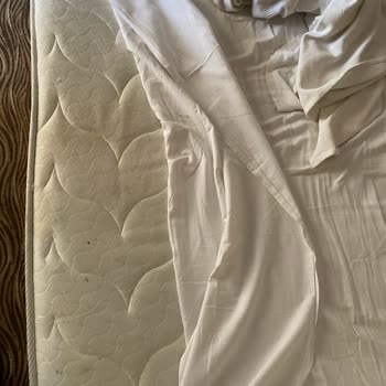 Elitium Thermal Hotel Hizmet Kalitesi Ve Hijyen Sorunları Yaşadım