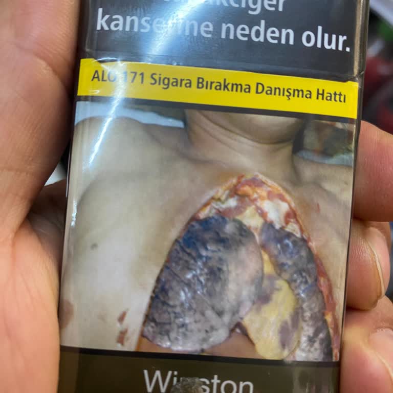 Winston Paketinden Yabancı Madde Çıktı