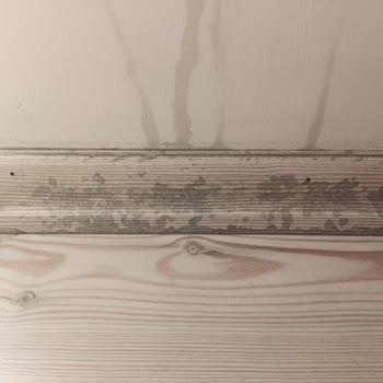 Beko Klima Salonun İçine Su Akıtıyor