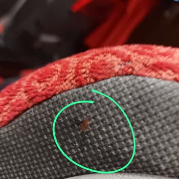 Kamil Koç 'da Tahta Kurusu Var