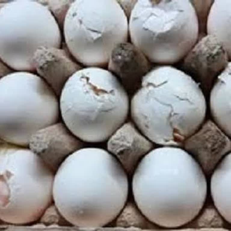 A101 Bozuk Yumurta Satarak Müşterileri Ölüme Terk Etmesi