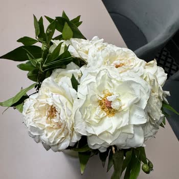 Ciceksepeti.com Çürük Çiçekler