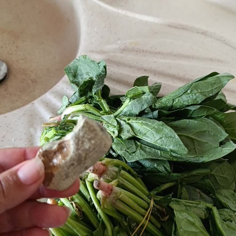 İyigün Gross İyi Gün Gross Market