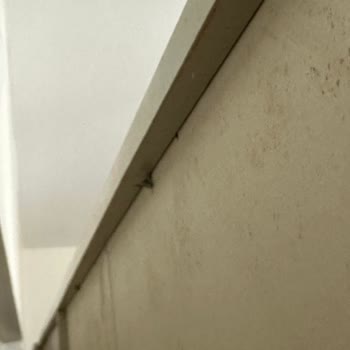 Kilim Mobilya Resmen Kullanılmış Ürün Gönderildi.