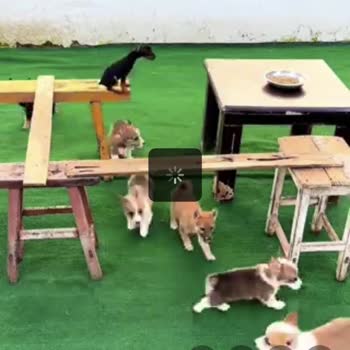 Vodafone'un Çekim Kalitesi Ve Müşteri Hizmetleri Sorunu