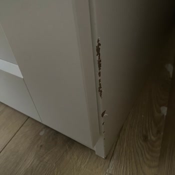 Öz Tahir Nakliyat Fiyaskosu