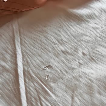 Nuh'un Gemisi Deluxe Hotel & SPA Tam Bir Fiyasko