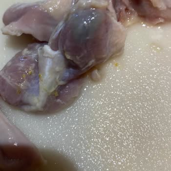 Erpiliç Taşlık Morarma Ve Koku Sorunu