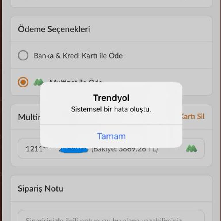 Trendyol GO Multinet Ödeme Sorunu