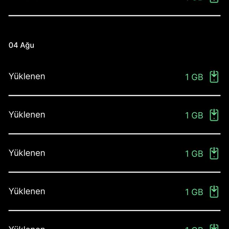 Kim GB İster Uygulama İnternet Yüklemiyor Ve Puanlarım Siliniyor