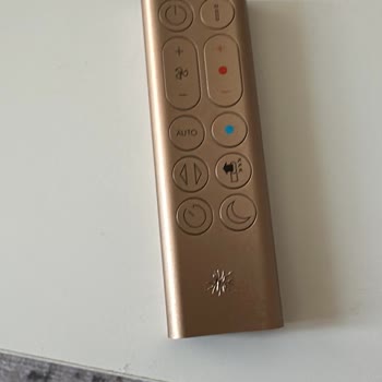 Dyson Hava Temizleyici Kumanda Boya Soyulması