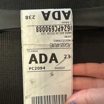 Pegasus İstanbul-Adana Uçuşunda Valiz Problemi