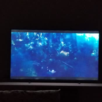 PHILIPS TV Philips Servis Sorunu
