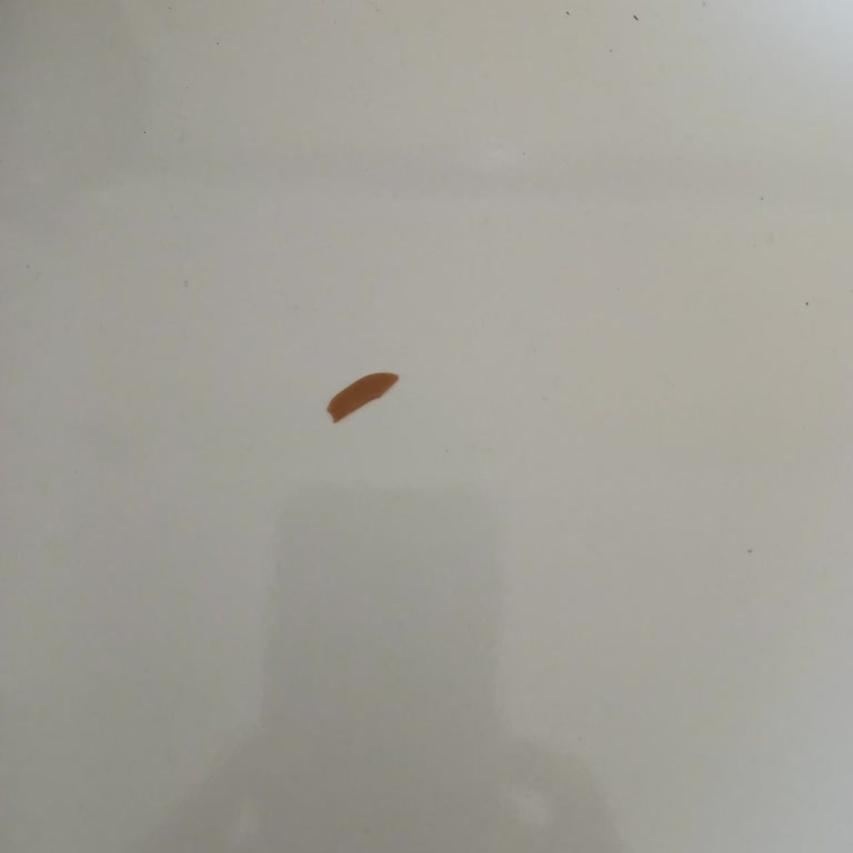 Algida Vienetta Dondurma İçerisinden Çıkan Metal