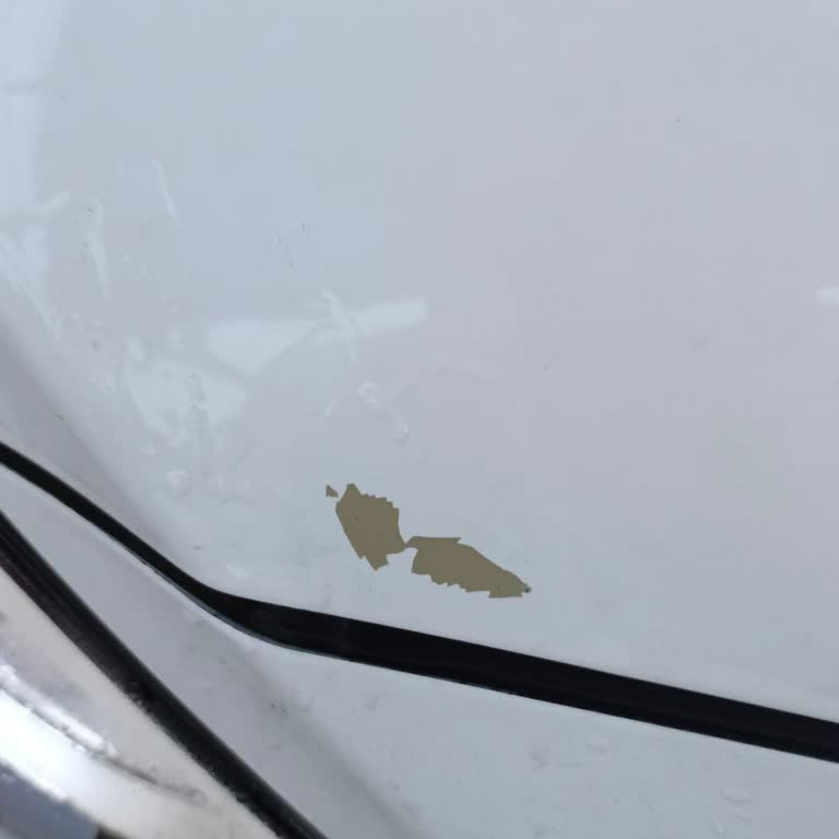 Hyundai Accent Blue Kaputta Boya Atması