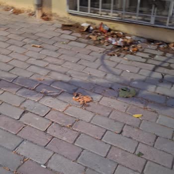 Bağcılar Belediyesi Sokak Temizliği Yapılmaması