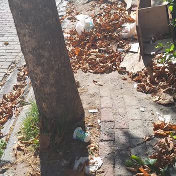 Bağcılar Belediyesi Sokak Temizliği Yapılmaması