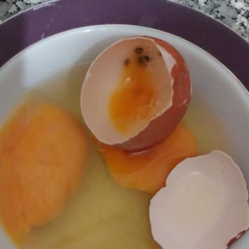 BİM De Bozuk Yumurta