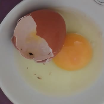 BİM De Bozuk Yumurta