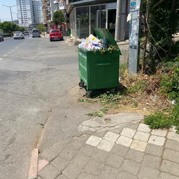 Onikişubat Belediyesi Çöp Konteynerlerinin Sağlık Ve Güvenlik Sorunları